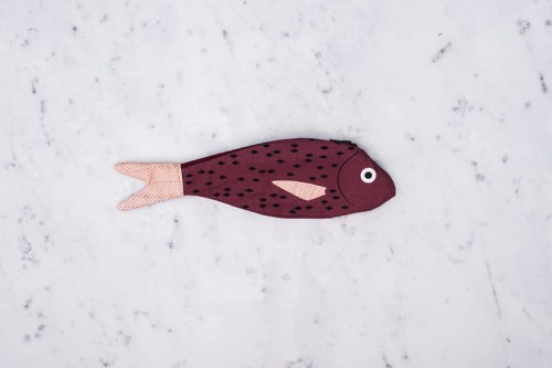 Piórnik rybka - Dorada