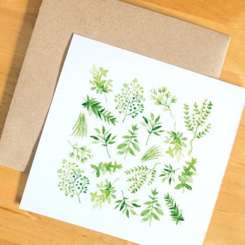 Kartka Aromatic Herbs