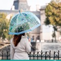 Djeco-Parasol-przeciwdeszczowy-PTAKI-DD04721-3