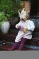 Maska - lwica - ANIMALESQUE