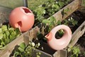 Wiaderko wielofunkcyjne - Ballo Coral Rose + Soft Rose - Quut