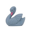 Swan1_1024x1024.jpg