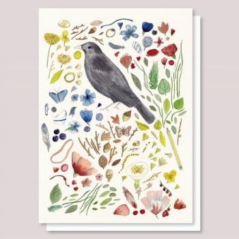  Kartka Bowerbird- Lizzy Stewart 